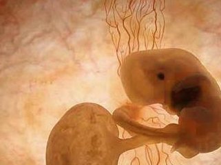 试管抗结剂方案的利弊有哪些？抗拮据方案有什么优劣势