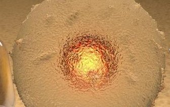 2026年想去错那市做试管婴儿需要准备哪些事？详细收费明细一览