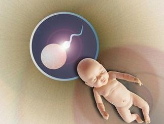 孝感市妇幼保健院试管费用要多少？费用明细表分享