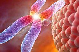 在梅州市妇幼保健计划生育服务中心做试管婴儿要多少钱？成功率怎么样？附试管怀孕机构名单一览