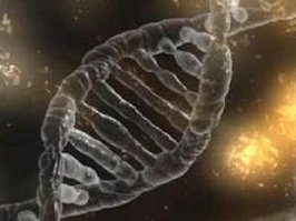 俄罗斯做三代试管可以吗？靠谱吗？